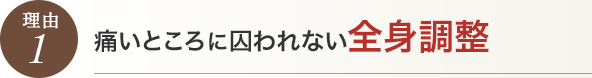 痛いところに囚われない全身調整