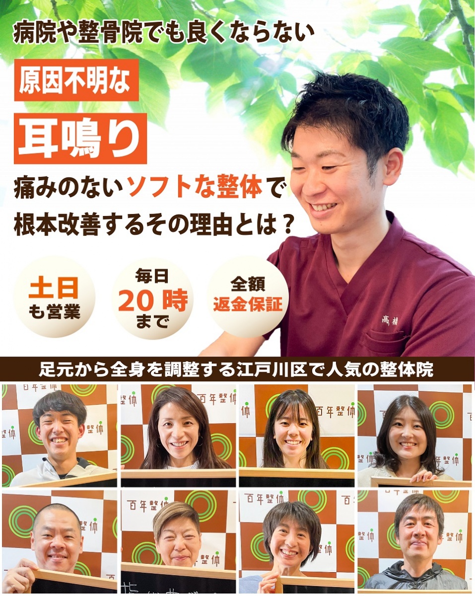 原因不明と言われた耳鳴りがなぜ、痛みのないソフトな整体で 耳鳴りが改善し、 不快な音に悩まされる生活 から解放されるのか？